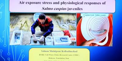 برگزاری سخنرانی علمی در مرکز تحقیقات ماهیان سردآبی کشور