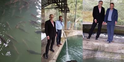 بازدید تخصصی از مزرعه  پرورش‌ ماهی آزاد دریای خزردر شهرستان عباس‌آباد