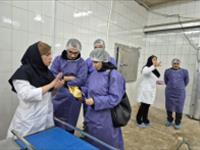 بازدید آموزشی دانشجویان رشته شیلات دانشکده منابع طبیعی دانشگاه گیلان  از مرکز ملی تحقیقات فرآوری آبزیان