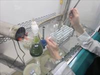 خالص سازی ریز جلبک های مزارع پرورش استان گیلان