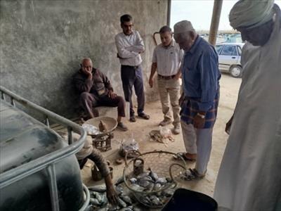 بازدید معاون پژوهشی پژوهشکده اکولوژی خلیج فارس و دریای عمان از فعالیت‌های صیادی در رمچاه و سوزا قشم