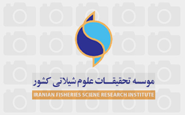 تولید میگوی SPF در ایران 