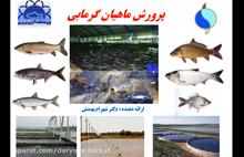 آشنایی با کسب و کار پرورش ماهیان گرمابی (دکتر شهرام بهمنش)