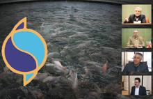 پادکست صوتی رونمایی از طرح آکواپونیک و مولدسازی 5 سویه جدید تیلاپیا