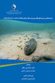 زیست‌شناسی و روش‌های تکثیر و پرورش خیار دریایی اسکبرا (Holothuria scabra)