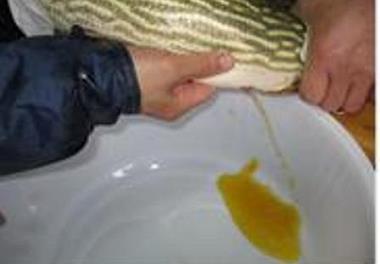 عقد قرارداد انتقال دانش فنی تکثیرمصنوعی اردک ماهی با بخش خصوصی