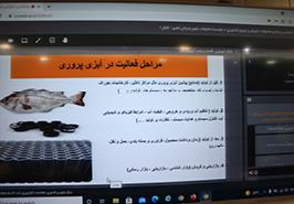 برگزاری کارگاه آموزشی اقتصاد و تولید آبزیان و بازار