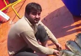 بررسی صید تون ماهیان  به روش لانگ لاین (رشته قلاب طویل) در ایران و مقایسه با آمار های جهانی