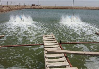 بازدید از مرکز پرورش ماهیان دریایی 