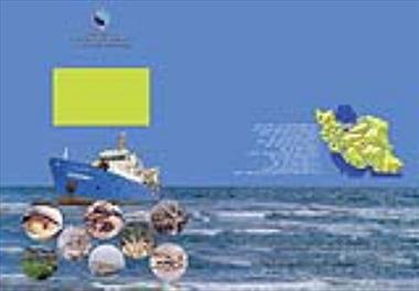 در شش ماهه دوم سال جاری تاکنون 60 عنوان گزارش نهایی طرح ها و پروژه های تحقیقاتی از سوی انتشارات موسسه منتشر شد.