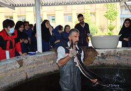 به منظور آشنایی مقاطع پایه تحصیلی با فرصت های شغلی و فعالیت های پژوهشی با تاکید بر اهمیت حفظ گونه های ارزشمند تاس ماهیان دریای کاسپین