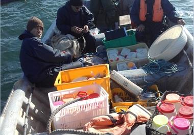  آغاز مرحله نمونه برداری از گروه های زیستی