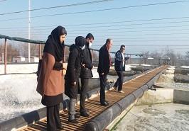 بازدید از مجتمع دانش بنیان سلطان ماهی خزری