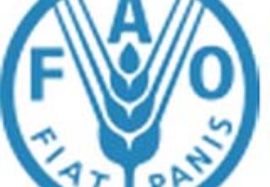 توسعه همکاری سازمان فائو و موسسه تحقیقات علوم شیلاتی کشور