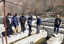 بازدید از روند اجرایی طرح تولید بیوسیلاژ از ضایعات طیور