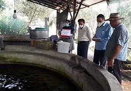 حضور یاوران تولید مركز تحقیقات ماهیان سردآبی کشور- تنکابن در مزارع سردآبی شهرستان تنکابن