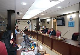 نشست کارگروه کارشناسان خبره