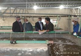 بازدید از پروژه های در حال اجرای مرکز تحقیقات شیلاتی آبهای دور