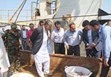 بازدید از طرح تحقیقاتی