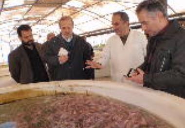 بازدید نمایندگان شرکت جهاد استقلال از مرکز تحقیقات ملی آبزیان آبهای شور