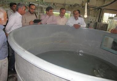 بازدید مدیران مؤسسه نصر از پژوهشکده آبزی پروری جنوب کشور