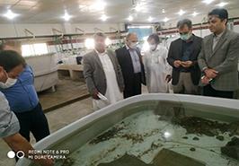 بازدید از مرکز تحقیقات شیلاتی آبهای دور_ چابهار