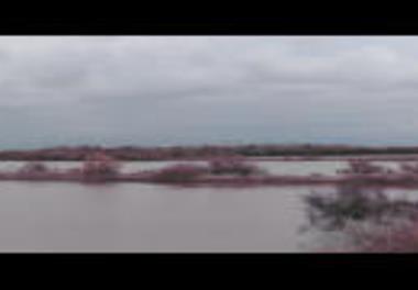 بازدید از مزارع سیل زده