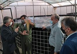 بازدید از مرکز تحقیقات ملی آبزیان آبهای شور- بافق یزد