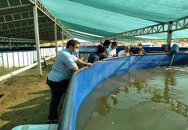 بازدید محققان معین انستیتو از مزرعه پرورش ماهی خاویاری لنگرود