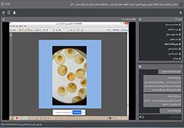 برگزاری وبینارهای آموزشی به مناسبت هفته پژوهش