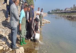 رهاسازی ۳۴۸۰ قطعه بچه‌ماهی آزاد دریای کاسپین در رودخانه چشمه‌کیله تنکابن