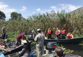 بازديد امام جمعه و مسئولان شهرستان بندر انزلي از وضعيت گسترش سنبل آبي در تالاب انزلي