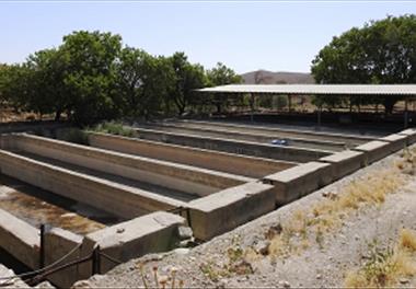 بازدید از منابع آبی با پتانسیل توسعه پرورش ماهی (جنوب استان یزد)