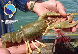 انعقاد قرارداد تحقیقاتی مرکز تحقیقات آرتمیای کشور_ ارومیه