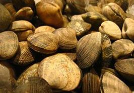 برگزاری روز مزرعه