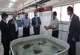 بازدید از مرکز تحقیقات شیلاتی آبهای دور_ چابهار