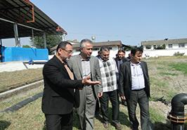 حضور رئیس مؤسسه تحقیقات علوم شیلاتی کشور در ایستگاه تحقیقات ماهیان خاویاری چابکسر