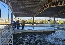 حضور پژوهشگر مروجان ارشد مرکز تحقیقات ماهیان سردآبی کشور در اولین کاروان سراسری محققان معین