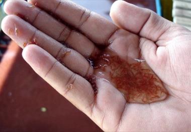 سه طرح در سه قاب