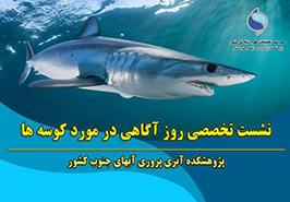 برگزاری نشست علمی تخصصی روز جهانی آگاهی از کوسه ها