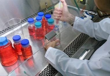 آماده سازی محیط های کشت سلولی EMEM در پژوهشکده آبزی پروری آبهای داخلی کشور