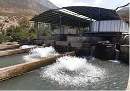 بازدید از مزرعه پروش ماهیان سردآبی