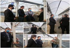 برگزاری جلسه شورای پژوهشی در پژوهشکده میگوی کشور