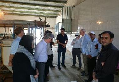 دومین روز بازدید هیات مجاری دراستان خوزستان 