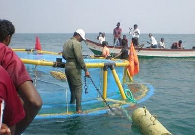 برگزاری جلسه کارگروه توسعه پرورش ماهی در قفس با حضور استاندار گیلان