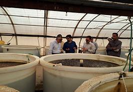 بازدید از مرکز تحقیقات ملی آبزیان آب شورداخلی بافق- یزد