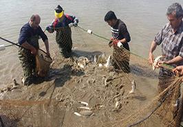 بازدید رئیس پژوهشکده از فعالیت های جاری ایستگاه فومن