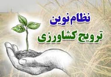 معرفی و شروع به کار محققین معین 