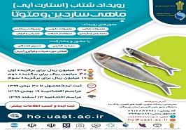 رویداد شتاب (استارت آپی)