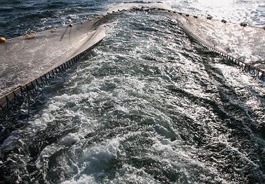 گشت های تحقیقاتی